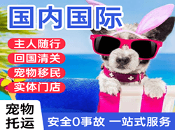 德宏航空物流国际宠物托运 【国